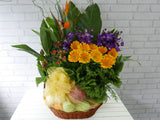 Fruit & Flower  - FR089