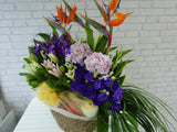 Fruit & Flower  - FR098