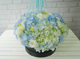 Joyful Blue Hydrangea & Balloon - NB108