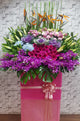 pure seed op179 + Brassica Flowers, Gerberas, Eustomas, Lilies, Hydrangeas and Bird of Paradise + opening stand