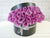 pure seed bk602 purple roses flower box