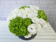 pure seed bk546 green hydrangeas + white eustomas flower box