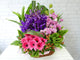 pure seed bk614 gerberas + 10 orchids + 5 eustomas flower basket