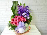 Fruit & Flower - FR114