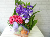 Fruit & Flower - FR114