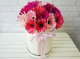 Gerbera Flower Box -BK601