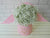 pure seed bk631 baby's breath in a pink box with wings