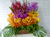 Colorful Orchid Flower Basket - BK167