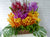pure seed bk167 vibrant colored tropical orchids with green leaves flower basket
