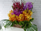 Colorful Orchid Flower Basket - BK167