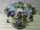 pure seed bk678 hydrangeas & eustomas flower box