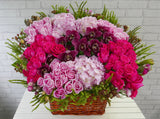 Shocking Pink rose & Cymbidium Floral Basket - BK683