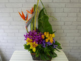 Bird Of Paradise & Rose Flower Basket - BK719