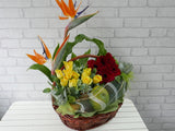 Fruit & Flower - FR077