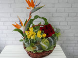 pure seed fr077 +  Bird of Paradise flowers, 10 Roses, 5 Gerberas and Fresh Fruits basket