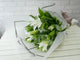 pure seed bq544 white lilies & euphorbia leaves hand bouquet in white wrapper