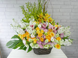 Cheerful Rose & Cymbidium Flower Basket - BK736