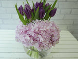 Regal Tulip in Vase - VS047