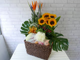 Fruit & Flower - FR140