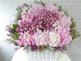 Magnificent Cymbidium & Hydrangeas Flower Basket - BK747