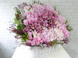 Magnificent Cymbidium & Hydrangeas Flower Basket - BK747