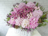 Magnificent Cymbidium & Hydrangeas Flower Basket - BK747