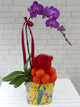 Elegant Phalaenopsis CNY Flower - CNY301