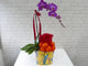 Elegant Phalaenopsis CNY Flower - CNY301