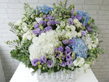 Stunning Aesthetic Hydrangeas Basket - BK532