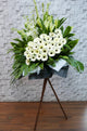 pureseed sy116 + Tube Roses, Orchids, Lilies and Gerberas + sympathy stand