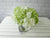 Refreshing Bloom Glass Vase -VS024
